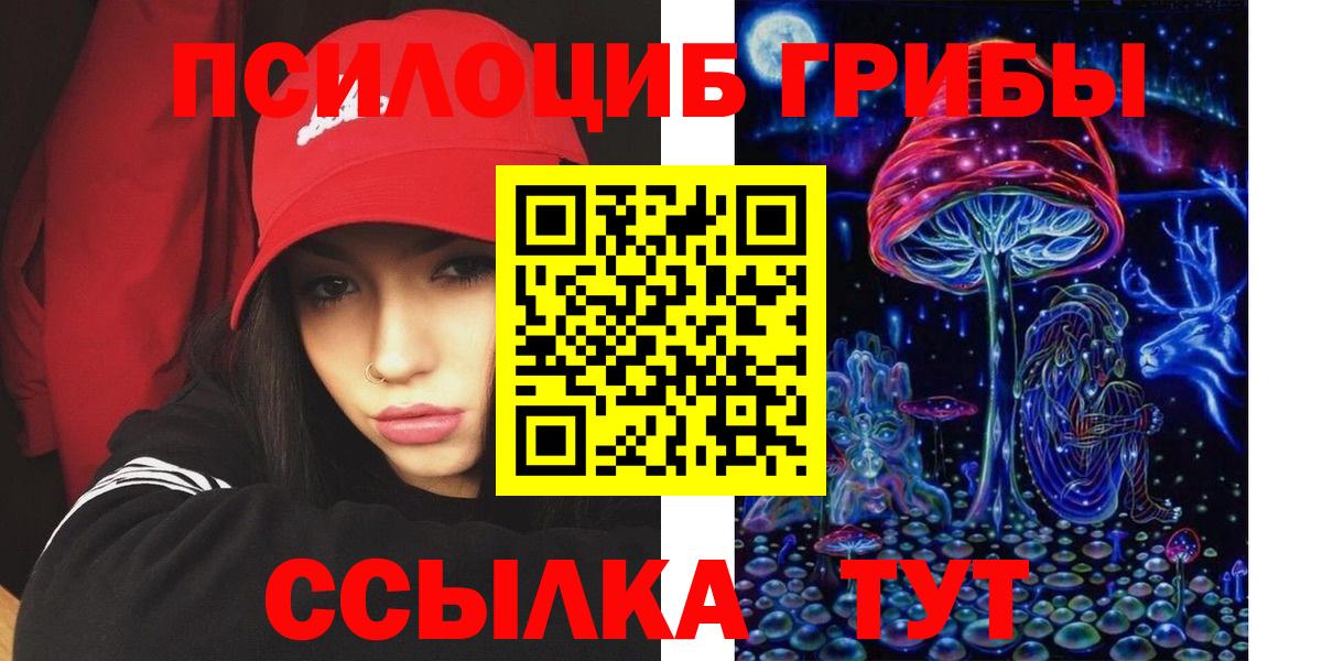 Псилоцибиновые грибы Psilocybe  Вход с VPN  Мценск 